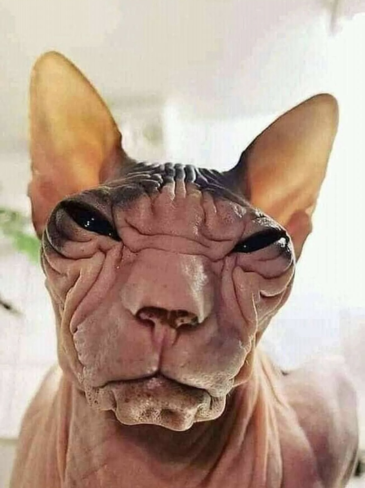 0D62E52B 159F 49AB B2AF 8F75CF7F6F53