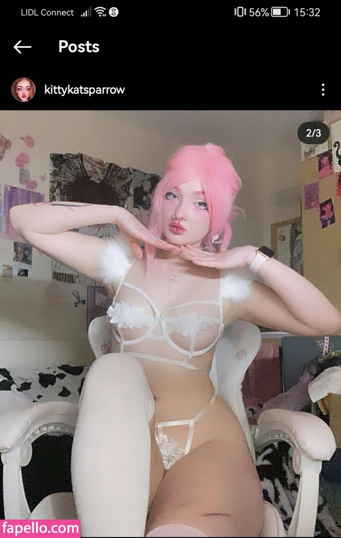 Fapello_KittyKatSparrow ()(2).jpg