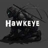 Hawkeye101010