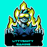 LittySmity Gaming