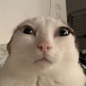 Binglebottom