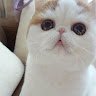 Askuraza _