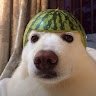Doug4340
