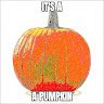 Pumpkinnn