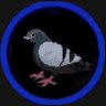 Funniest Pigeon