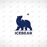 IceBear2x2