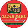 Gajah Baru