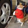 mamanracing