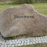 skov