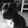 Jayden2406