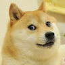 Doge 1