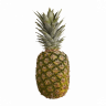 pineapple2021