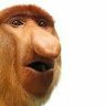 Dururiif