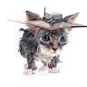 wetcathyy6yyyyyyy6