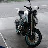 Iuli534