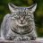 pspscat
