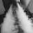 Elguso_