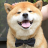 Kevin Bui
