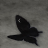Angel Revenge