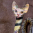 cat snake thing