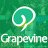 grapevine.hr