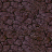 ral343