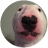 classpacker