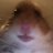 Bot Di