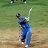 cricket fever