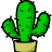cactuskingofficial