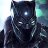 Wakanda’s King