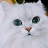 MAX CAT