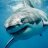 Sharkattack86