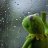 soorybrorf