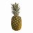 pineapple2021