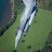F-16 AIR FORCE