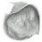 oropind